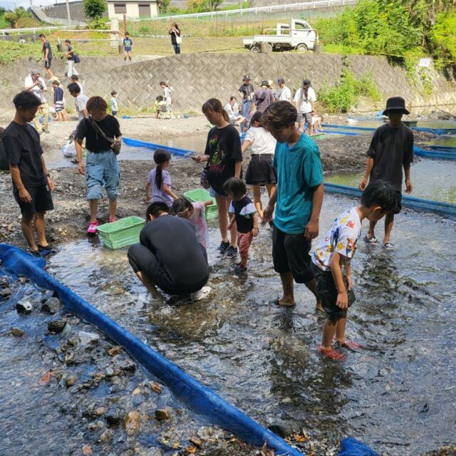社員とぶどう狩り