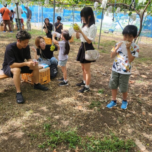社員とぶどう狩り