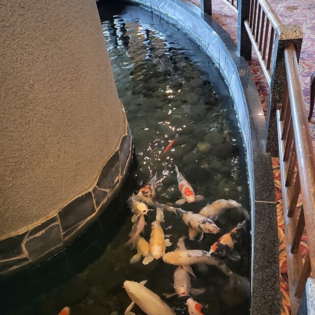 2024.9社員旅行in岩手