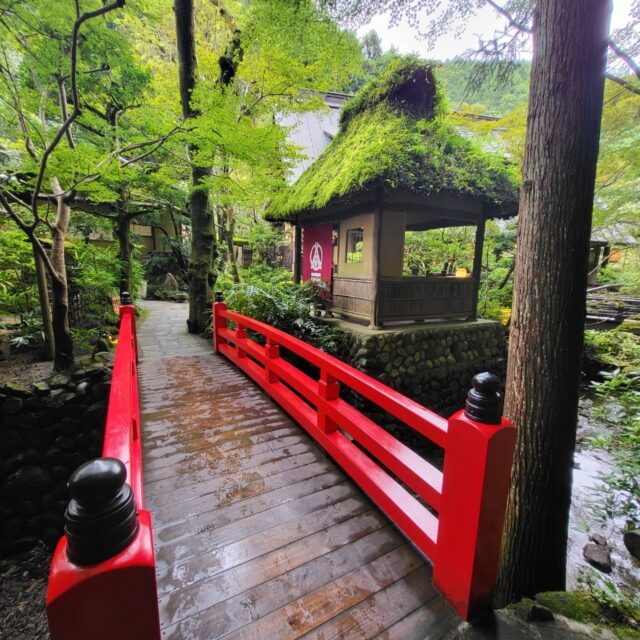 お墓参りの帰りランチ