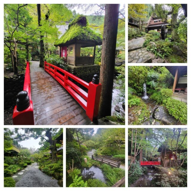 お墓参りの帰りランチ