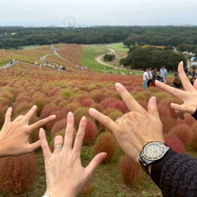 ひたち海浜公園と栗拾い